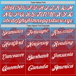 Vegas Aurora Outer Flag
